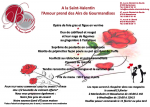 01 29 traiteur burg st valentin 02 2016