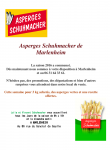 16 04 15 asperges d alsace schuhmacher marlenheim