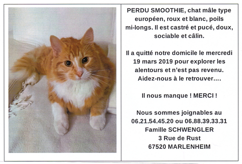 Marlenheim Disparition De Smoothie