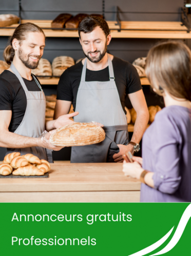 Annonceurs gratuits professionnels secteur marlenheim